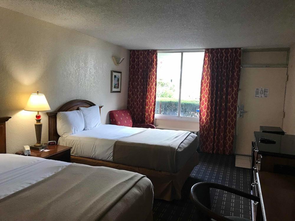 Quality Inn Tampa Lake Magdalene Extérieur photo