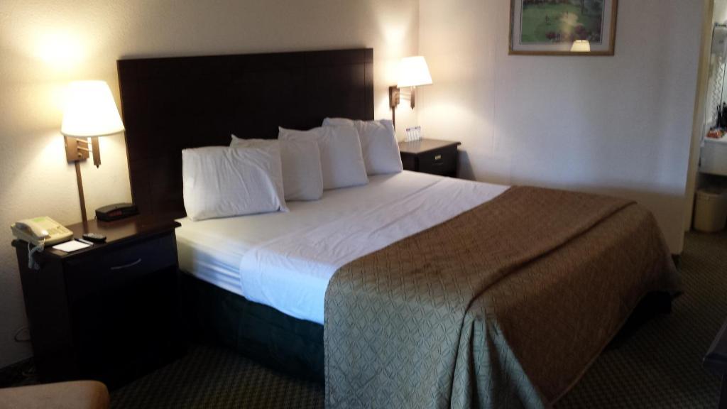 Quality Inn Tampa Lake Magdalene Chambre photo