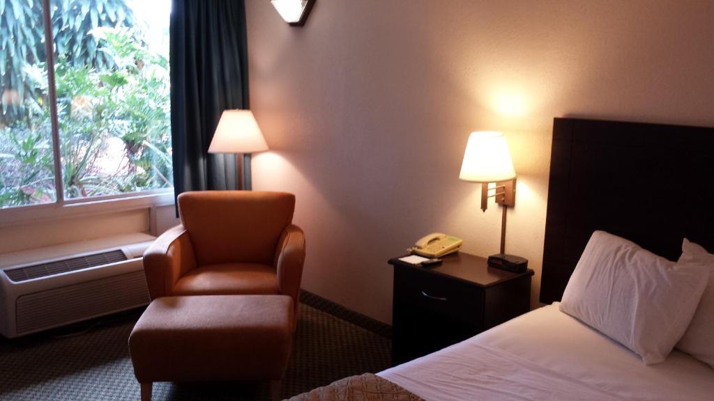 Quality Inn Tampa Lake Magdalene Chambre photo